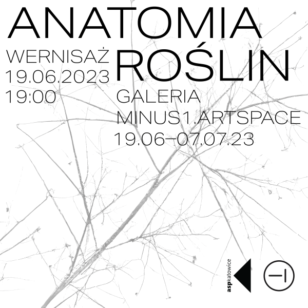 Anatomia roślin