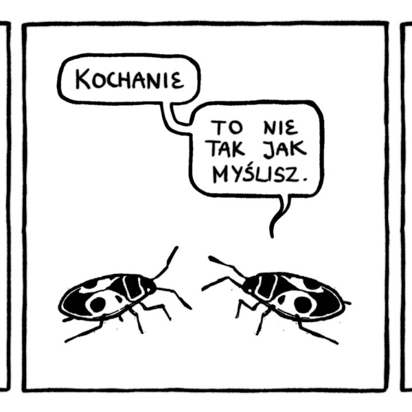 Nagroda za pasek komiksowy 