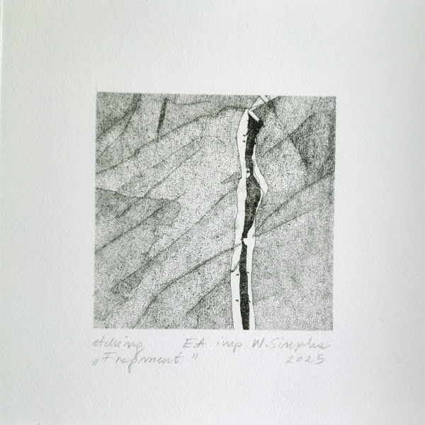 Wyróżnie dla Weroniki Sipki  Convocatoria Pequeño Formato TIEMPO/DIVERSIDAD, Argentyna