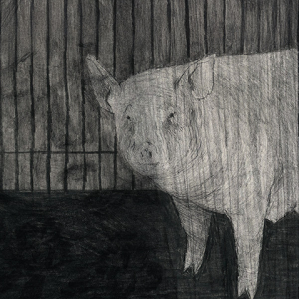 Eda Kranc – komiksy zaangażowane