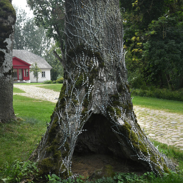 W sierpniu  odbył się wernisaż wystawy  Hedera Helix  prof. Grzegorza Hańderka w przestrzeni otwartej Parku Krasnogrudzkiego.
