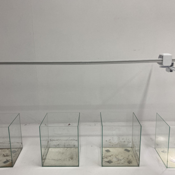 Obrony prac magisterskich Wydziału Artystycznego