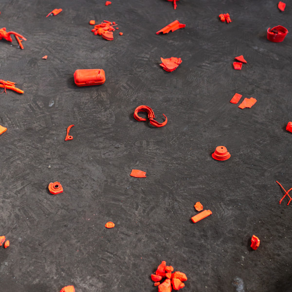 Zakończyliśmy projekt „Postindustrialny słownik roślinno-ludzki”!