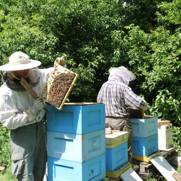 Michał Smandek został stypendystą Ministerstwa Kultury i Dziedzictwa Narodowego