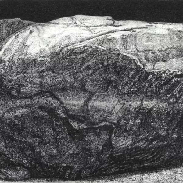 Netflix wykorzystuje akwafotrę Weroniki Siupki 