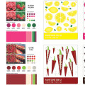 kartka Pantone projekt kolorystyki