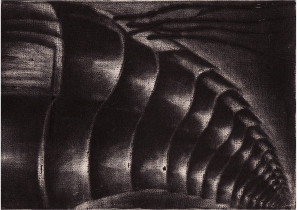 Philonthus 2, mezzotinta,10x14cm, 1993