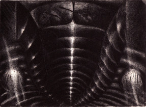 Philonthus 4, mezzotinta,10x14cm, 1993