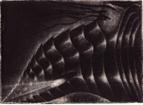 Philonthus 1, mezzotinta,10x14cm, 1993