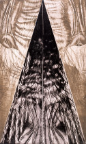 Powierzchnia alternatywna 4, suchoryt, 100x60cm,1993