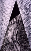 Powierzchnia alternatywna 6, suchoryt, 100x60cm,1996