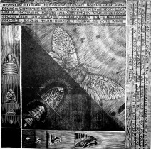 Przemiana 1, drzeworyt sztorcowy, 29x29cm, 2001