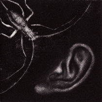 Słuch, mezzotinta, 12,5x 12,5cm, 2007