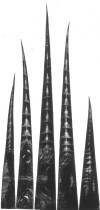 Tutu, mezzotinta/sucha igła, 26x 55cm, 1991