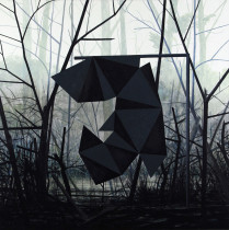 Wielościan Conelly'ego, Andrzej Tobis, 2012