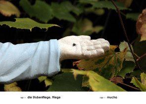 Mucha, z cyklu A-Z (Gabloty edukacyjne), Andrzej Tobis, 2012