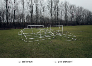 Pole bramkowe, z cyklu A-Z (Gabloty edukacyjne), Andrzej Tobis, 2006