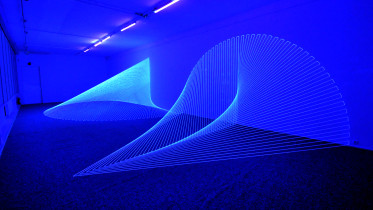 2016 - MIRABILIS – HIBISCUS II, Galeria Arsenał, Poznań; wełna, lampy UV; 350 x 1600 x 550 cm