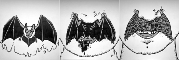 metamorfoza / Przemek Piekarski / 2013