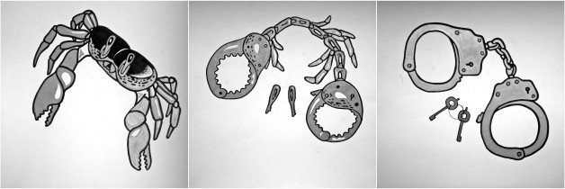 metamorfoza / Przemek Piekarski / 2013