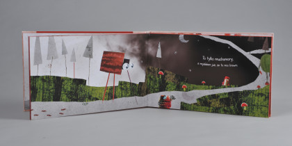 Karolina Szopa / arbuzowa fiesta / 2015