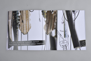 Agnieszka Bala / srebrzyste łany / 2015