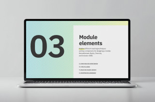 Investigating Equality, Diversity and Inclusion &ndash; A Teaching Module Handbook / projekt publikacji cyfrowej