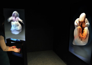 DWÓJNIA – instalacja interaktywna/sztuczna inteligencja, 2011