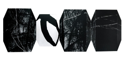 Przestrzeń oswojona 01, Michalina Wawrzyczek - Klasik, 2010