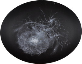 Ortus 04, Karolina_Moszczynska, 2011