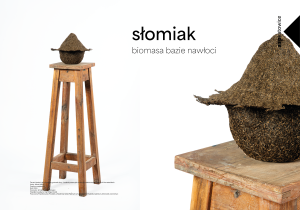 Nawłoć, roślina inwazyjna jako materiał projektowy.