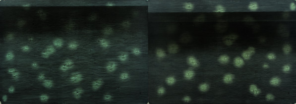 Marcin Hajewski, Spod uniesionych powiek, dostrzeżesz kolor wody I, litografia, 200 x70cm, 2015