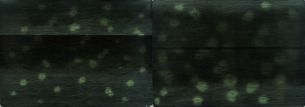 Marcin Hajewski, Spod uniesionych powiek, dostrzeżesz kolor wody II, litografia, 200 x70cm, 2015