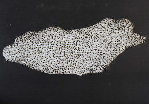 Marcin Hajewski,  z cyklu Blizna osobista,  Untouchable part of the body, offset, 100 x 70cm, 2015