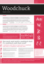 Projekt kroju dziełowego, Rafał Włodarek, 2015/2016