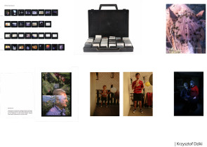 Krzysztof Dziki, 2 r. PG, I st.