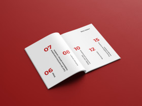 Projekt publikacji_I rok, Mateusz Mikoszek, 2024