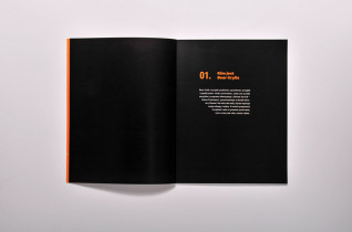 Projekt publikacji_III rok, Agnieszka Uchyła, 2016