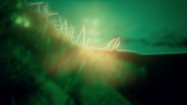 Dominika Wollman “Widziałem człowieka nad wodą stojącego”