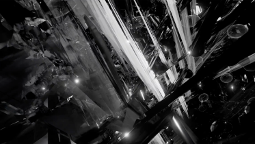 Katarzyna Trzcińska “anims”