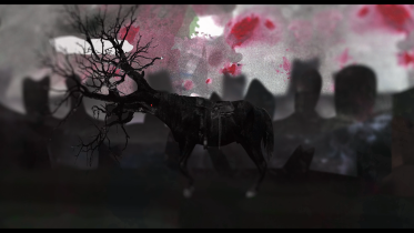 Łukasz Torc | Nie ma nieba - Happysad | music video | Master's degree | 2017