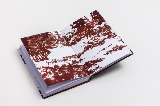 Ewelina Pietraszko – Prowadź swój pług przez kości umarłych