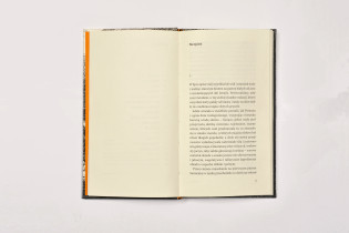 Agata Augustynik - Sklepy cynamonowe