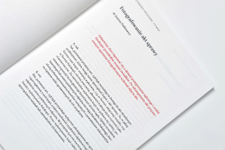 Magda Szklarczyk - Łamigłówki procesu karnego