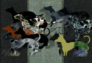 sfora, 110x160 (160MB), 2009r.