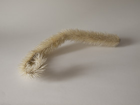 Bez tytułu (spirala), 2016,  drewno, 50 x 30 x 18 cm 