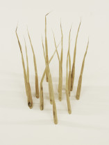 Bez tytułu(kolce), 2015, drewno