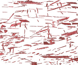 Rytmy miasta/Alicja Walczyk/2020