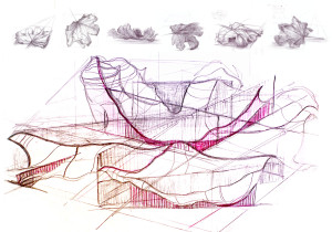 Analiza obiektu naturalnego/Kinga Sobolewska/2020