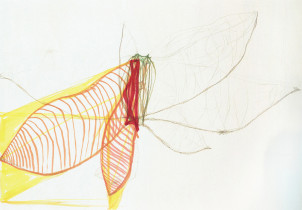 Analiza obiektu naturalnego/Alicja Walczyk/2020